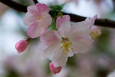 《层层恐惧》版本揭晓预告 6月15日发售